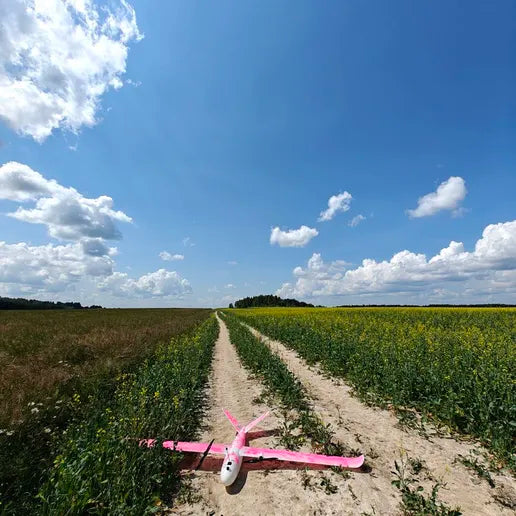Whale fpv aircraft